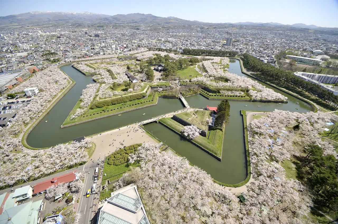 Star-shaped Goryokaku fort in Hakodate ringed by cherry blossoms in full bloom
