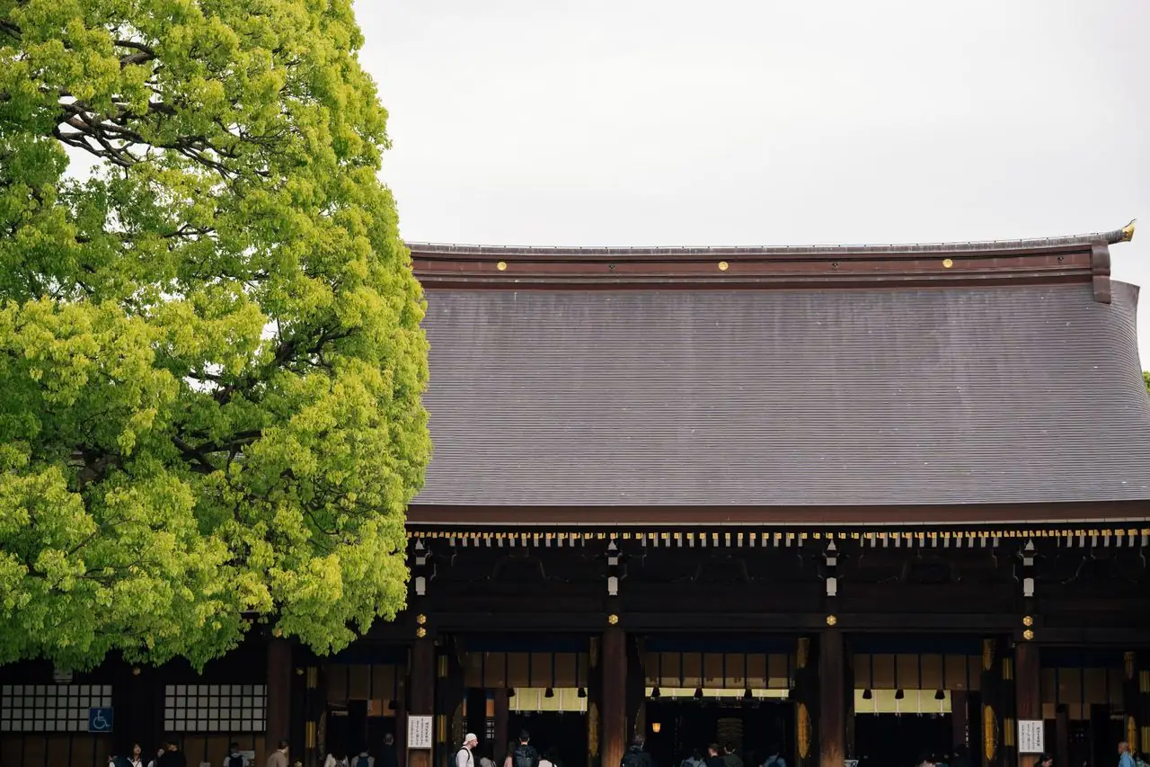 Plain cypress main hall of Meiji Shrine with its sweeping copper roof