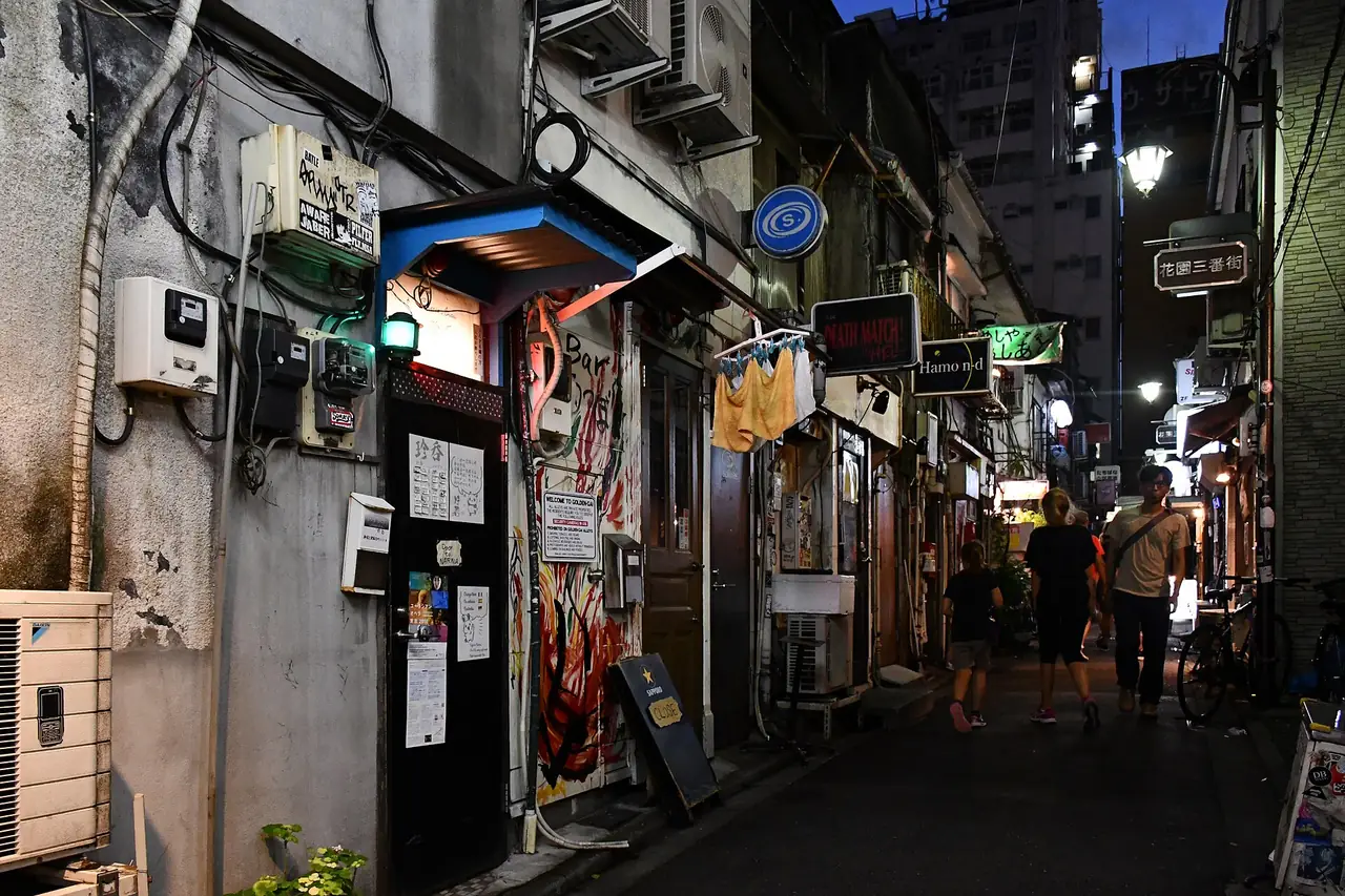 Narrow alley lined with tiny bars in Golden Gai, Shinjuku, at dusk