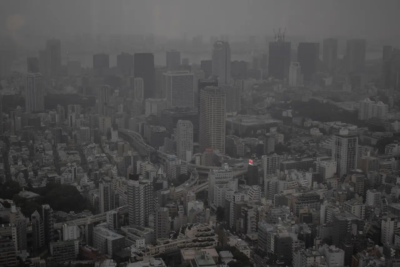 Grey, hazy weather over central Tokyo high-rises seen from above