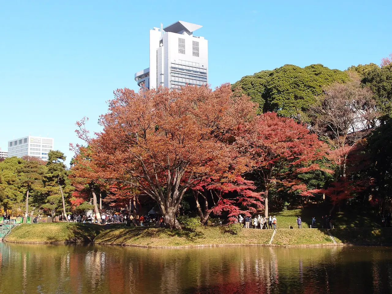 Red and orange autumn trees around the pond at Koishikawa Korakuen Gardens