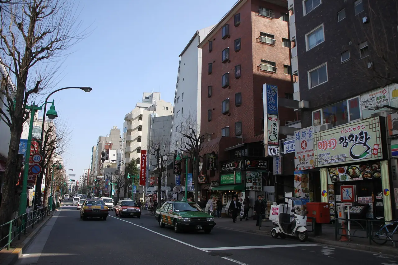 Shops with Hangul signboards along Okubo-dori in Shin-Okubo