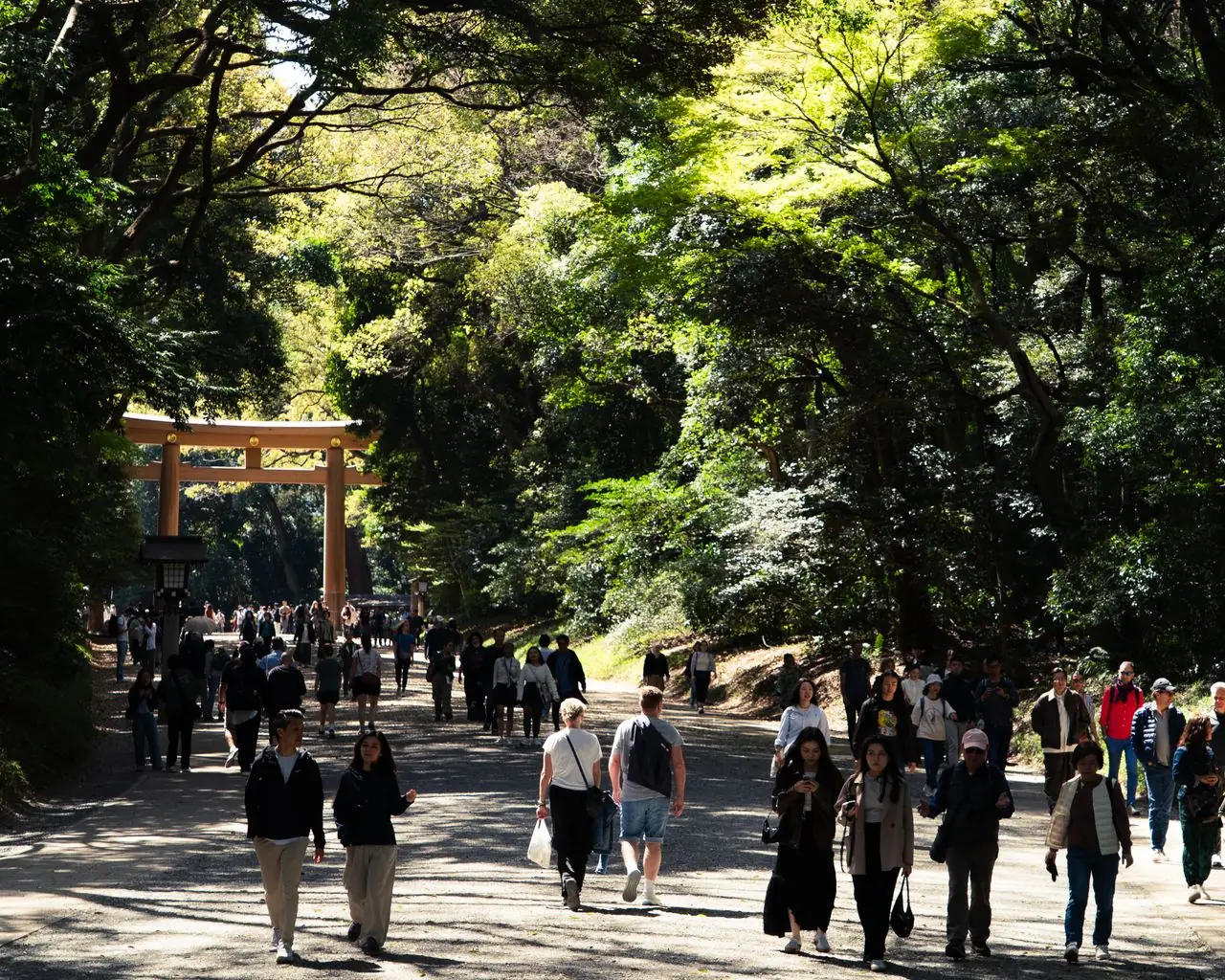 Visitors walking the gravel approach toward the wooden torii at Meiji Shrine