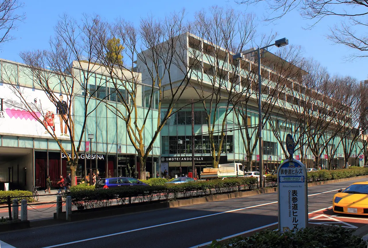 Long low facade of Omotesando Hills behind bare winter zelkova trees