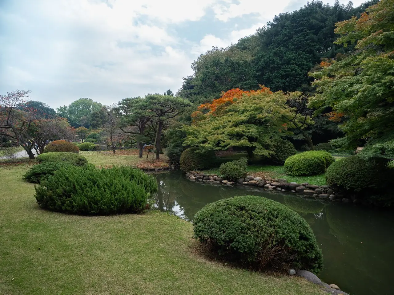 Lawns and clipped shrubs beside a pond in Shinjuku Gyoen National Garden
