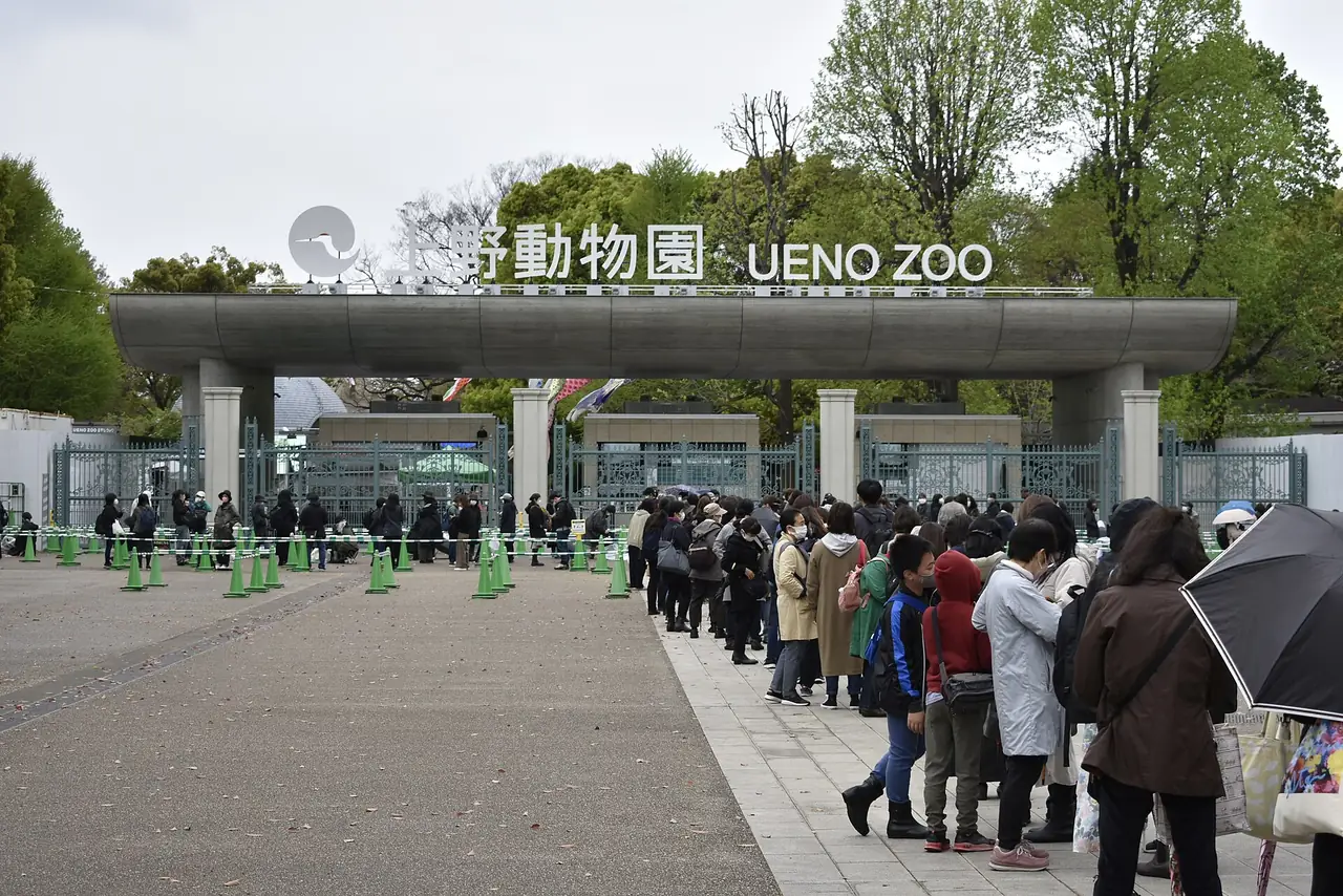 Visitors queue outside the main gate of Ueno Zoo in spring