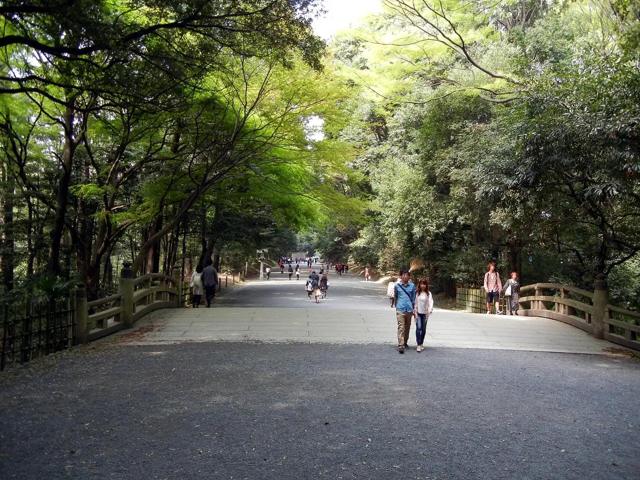 Wide gravel approach path through the forest at Meiji Shrine
